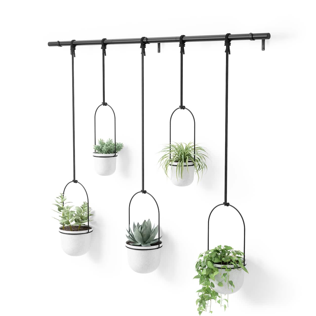 Umbra White & Black Triflora Hanging Planter Set